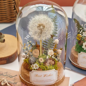 Hecho a mano Real diente de león flor seca planta inmortal espécimen cubierta de vidrio Micro paisaje decoración de escritorio adornos graduación - Product Image 5