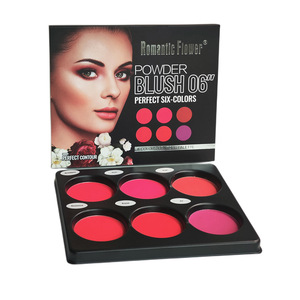 Palette de fards à joues 6 couleurs, finition mate et satinée, pigment longue durée pour tous les tons de peau - Product Image 2