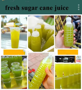 Machine à jus de canne à sucre électrique commerciale, extracteur de jus de fruits en acier inoxydable - Product Image 4