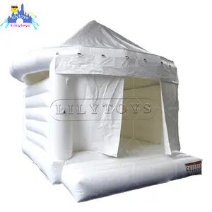 Lilytoys inflatable tent party event portable clear dome inflatable tent for sale tent inflatable