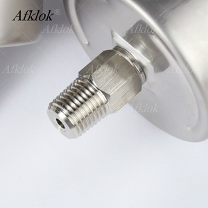 Manômetro Hidráulico de Alta Precisão Industrial com Conexão Inferior NPT BSP para Medição de Pressão - Product Image 5