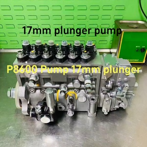 Elemento a pistone da 17 mm per pompa iniezione diesel P8600, pistone da 17 mm/camlift da 14 mm per macchine edili - Product Image 6