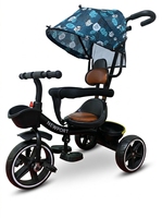 Tricycle en acier pour enfants avec poignée de poussée, jouet à 3 roues réglable pour bébé et tout-petit