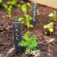 Wetterfeste Garten Schiefer Zeichen Pflanze Pfähle Stein Herz Quadrat Runde ovale Frucht Blume Etikett Schiefer Zeichen und Tags