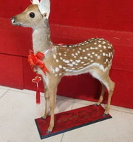 Spécimens animaux artisanaux en résine grand format, esthétiquement plaisants, design Art Déco, écologiques, simulation d'animaux