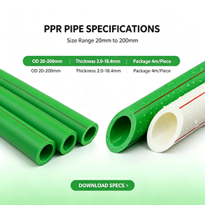 Tubería Térmica PPR <span class=keywords><strong>de</strong></span> 20 mm PN25, Tubo <span class=keywords><strong>de</strong></span> Polipropileno para Agua Caliente, para Sistema <span class=keywords><strong>de</strong></span> Calefacción <span class=keywords><strong>Solar</strong></span>, Combinado con Caldera - Product Image 2