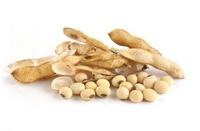 Ciyuan usine approvisionnement en vrac de qualité alimentaire cas 8002 lécithine de soja 98% poudre/granules de lécithine/capsule de lécithine granulaire