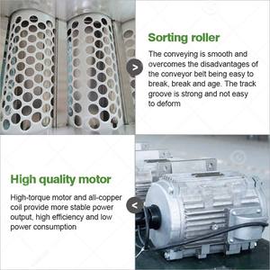 Qualité Industrielle Jujube Tomate Oignon Agrumes Légumes Sizer Taille Niveleuse Machine De Tri Et Sec - Product Image 4