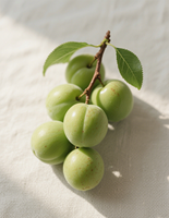 Arôme Concentré Synthétique Prune Verte Liquide pour Boissons, Pâtisseries et Vins (MR 110011)