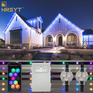 Factory Supply IP68 Waterproof 5000K Dc12V Permanent Outdoor Led <b>Christmas</b> <b>Lights</b> Pixel Point <b>Light</b> - Product Image 1