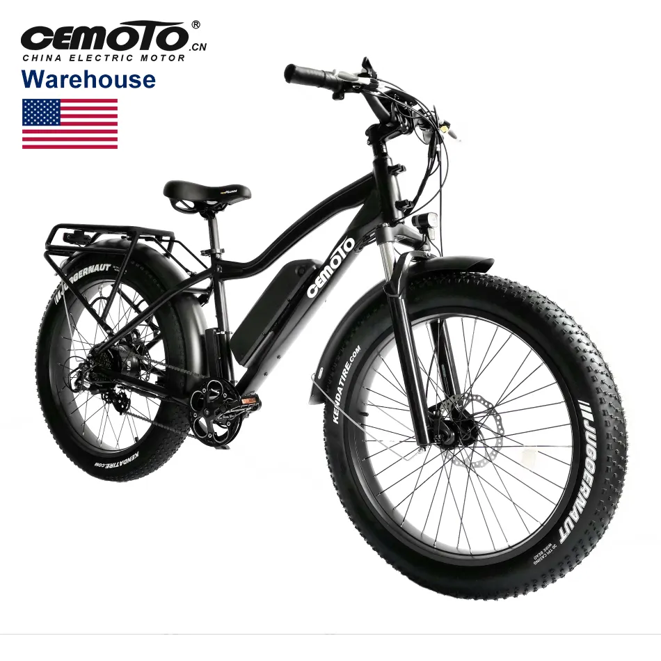 US hot selling Mountain fat MTB Cargo ebike Lithium Battery 48V 750W/1000W 26 Inch fat tire Electric bicycle for Men