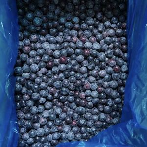 Vente en gros en vrac Exportation Myrtille congelée IQF Prix frais pour les fruits congelés - Product Image 4