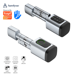 Cerradura Inteligente para Cilindro Aurelysse Euro, Huella Dactilar, PIN, Tarjeta NFC, Tuya TTLock, Aluminio, Puerta de Madera, Hogar, Hotel, Oficina, BLE, Negro o Plateado - Product Image 1