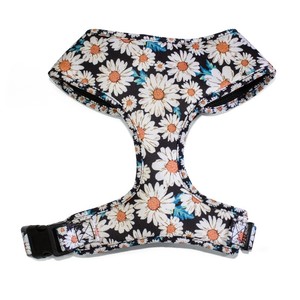 Custom Print Dog Harness Set OEM ODM Custom Logo Padded Pet Harness Collar Leash Bandana Kit For Small Medium Dogs - Product Image 5