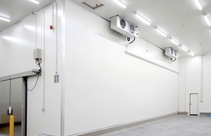 Attrezzatura per Pannelli Sandwich in Poliuretano Discontinuo, Macchinario per Pannelli <span class=keywords><strong>3</strong></span>+<span class=keywords><strong>3</strong></span>, Macchina per la Produzione di Pannelli PUF - Product Image 5