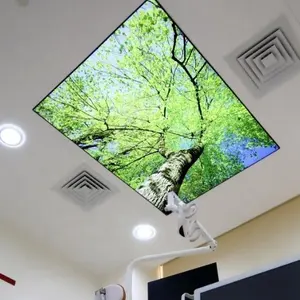 Zhihai Morden Plafond Decoratie Materiaal 3d Hd Oceaan Vis Afdrukken Pvc Spanplafond Film