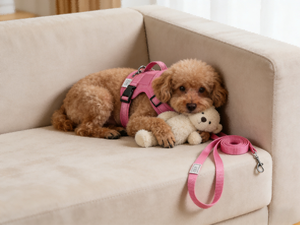 YG-8010 <span class=keywords><strong>Harness</strong></span> <span class=keywords><strong>Vest</strong></span> Anjing Berbahan Nylon, Empuk, dan Bernapas untuk Dada dan Punggung Anak Anjing - Product Image 6