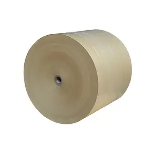 PE coated craft paper