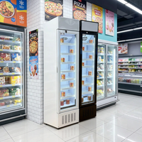 Refrigerador Comercial Delgado con Puerta de Vidrio Individual, Enfriador de Bebidas y Cerveza, Vitrina Exhibidora Personalizada