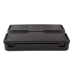 Outdoor Light Cheap Anti-impact Customer Color Cooler Box Foam Container Food Thermo Cooler EPP Delivery Boxes