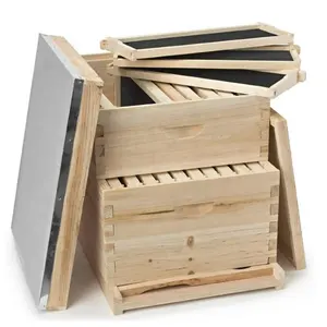 Honey frames for beehives Complete Beehive Langstroth Fir beehive kit on sale