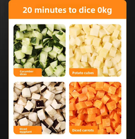 Compacte elektrische roestvrijstalen multifunctionele snijmachine/hakmolen/slicer met motor voor het snijden van wortelen, aardappelen en fruit