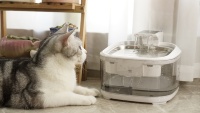 Distributeur d'eau Smart Cat 4.5L avec capteur Batterie sans fil rechargeable pour chats Fontaine d'eau automatique pour animaux de compagnie avec filtre