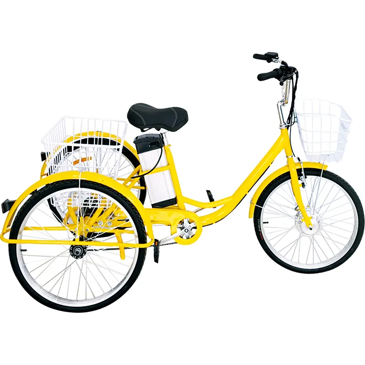 24 "250W 3 roues tricycle électrique cargo tricycle électrique vélo électrique pour adulte