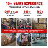 Fabricant OEM ODM de spray de brillance pour pneus, marque privée, produit d'entretien pour pneus, brillant pour jantes, restaurateur de brillance, fournitures de detailing automobile