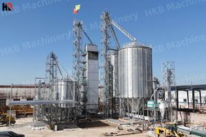 1000 Ton Plat/Hopper Bodem Stalen Maïskorrel Silo - Product Image 3