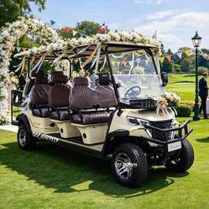 Vehículo Utilitario Eléctrico para Golf ZOWN con Certificación CE, Carro de Carga de Gran Capacidad, Buggy para Logística de Hoteles y Campus - Product Image 1