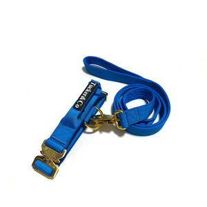 Conjunto de Correa y collar de perro con hebilla de Metal grabado dorado resistente táctico de nailon bordado de lujo - Product Image 6