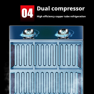 Congelador Comercial de <span class=keywords><strong>6</strong></span> <span class=keywords><strong>Puertas</strong></span>, Acero Inoxidable 201, Enfriamiento Directo, Control Digital de Doble Temperatura, Gabinete de Refrigeración Manual - Product Image 6