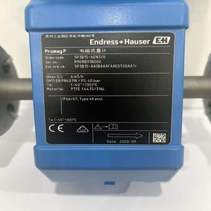 Débitmètre magnétique E+H Proline Promag P300 5P3B1F DN150 avec revêtement PTFE, précision 0,5 %, 4-20 mA/HART/Modbus pour fluides chimiques - Product Image 3