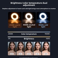 Lampe d'appoint magnétique à intensité réglable pour téléphone, idéale pour le streaming en direct, lumière de beauté portable, support de téléphone, lumière selfie, miroir LED de poche