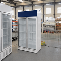 Congélateur commercial à double porte vitrée, refroidissement par air, dégivrage automatique, éclairage LED, 1200L, pour boutique de chocolat