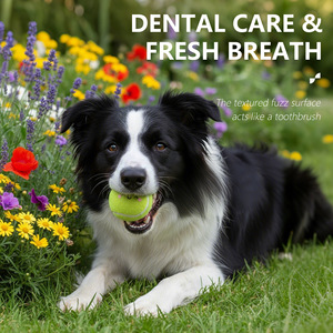 Jouet <span class=keywords><strong>pour</strong></span> <span class=keywords><strong>chien</strong></span> en forme de balle de tennis qui couine, durable, logo personnalisé, balles <span class=keywords><strong>d</strong></span>'entraînement <span class=keywords><strong>pour</strong></span> animaux de compagnie <span class=keywords><strong>pour</strong></span> les <span class=keywords><strong>jeux</strong></span> de récupération et la pratique de l'<span class=keywords><strong>obéissance</strong></span> - Product Image 4