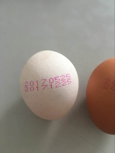 סמן וקוד מקצועי 392184 1620 fg, מדפסת ip65 הזרקת דיו לקידוד וסימון ביצה - Product Image 2