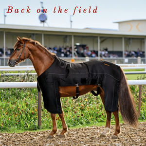 Manta SINOCO para Cuidado Corporal de Cavalo Equipamento Equestre Instrumento Veterinário Terapia de Luz Vermelha 660nm 850nm para Cuidados de Saúde em Corridas - Product Image 1