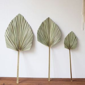Feuilles de palmier <span class=keywords><strong>séchées</strong></span> à l'air naturel de style Instagram pour magasin de <span class=keywords><strong>fleurs</strong></span>, meubles d'ameublement et décoration de lieu de mariage - Product Image 4