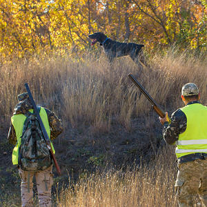 Fortschrittliches GPS-Hunde-Trainingshalsband mit Dual-Thread-Datensicherung und Großem Bildschirm für die Jagd & das Verhaltenstraining von Haustieren - Product Image 3