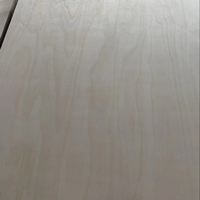 Contrachapado de Abedul 4x8 12mm, Núcleo 100% Abedul, Impermeable, Certificado E0/CE/ISO, Chapa de Abedul para Muebles de Taller, Venta al por Mayor