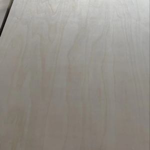 Compensato di Betulla 4x8 12mm, 100% Nucleo di Betulla, Impermeabile, Certificato E0/CE/ISO, Impiallacciatura di Betulla per Mobili da Officina, Vendita all'Ingrosso - Product Image 3