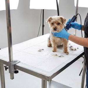 Tapis absorbants pour animaux de compagnie résistants aux déchirures, durables même lorsqu'ils sont déchirés ou mâchés, soins pour animaux malades, tapis d'urine spéciaux pour animaux de compagnie en gros - Product Image 5