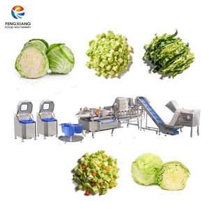 Línea de Procesamiento de Col Fresca a Pequeña y Mediana Escala: Máquina para Cortar, Lavar y Centrifugar la Col - Product Image 1