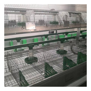 Nouvelle <span class=keywords><strong>Cage</strong></span> énergétique pour lapins de spécifications variées 8 /9/12/24 unités <span class=keywords><strong>Cage</strong></span> à lapin de style européen - Product Image 5