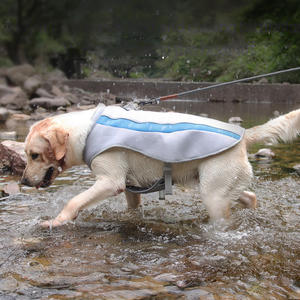 Accessoires pour animaux de compagnie, vêtements d'été pour chiens, veste rafraîchissante pour chien, vêtements respirants pour animaux de compagnie pour les journées chaudes, accessoires pour chiens - Product Image 1