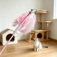 Jouet pour chat multi-styles avec plumes colorées et clochette, bâton de chatonnière résistant aux morsures, jouet d'intérieur pour le divertissement des chats, vente en gros