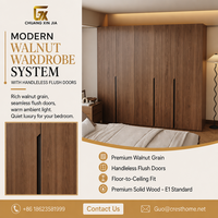 Armoire moderne minimaliste en noyer, armoire écologique et durable pour appartement, hôtel, projet, meubles de chambre personnalisés