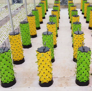 Systèmes de culture hydroponique verticaux Lyine, tours hydroponiques pour la culture de salades en serre - Product Image 4